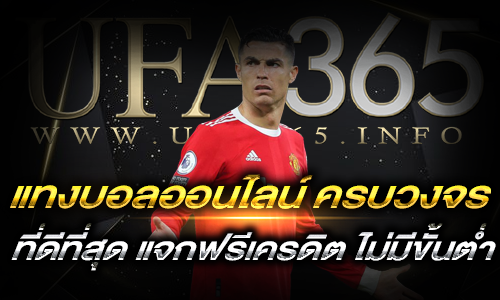 แทงบอลออนไลน์ครบวงจร